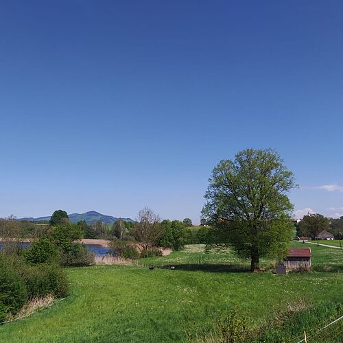 Panorama auf dem Wanderweg „Rund um den Abtsdorfer See“ im Landschaftsschutzgebiet Haarmoos.